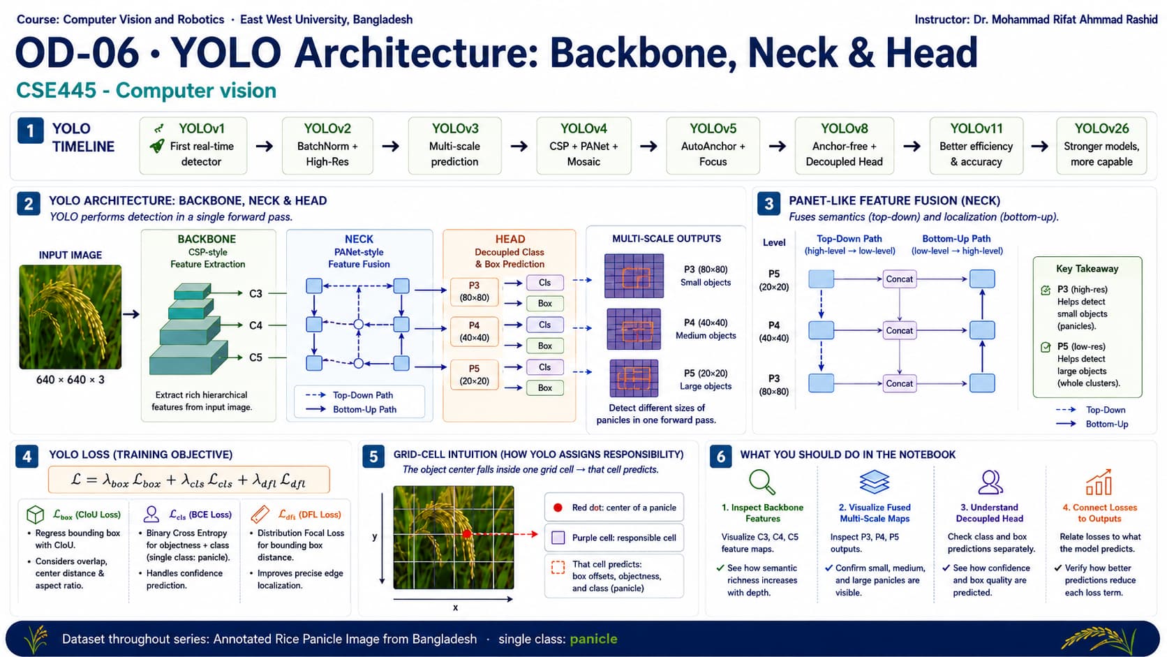 YOLO Architecture: Backbone, Neck & Head infographic
